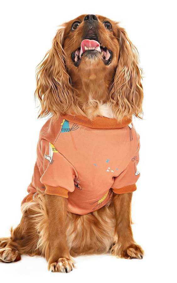 Küçük ve Orta Irk Köpek Sweater - Matru