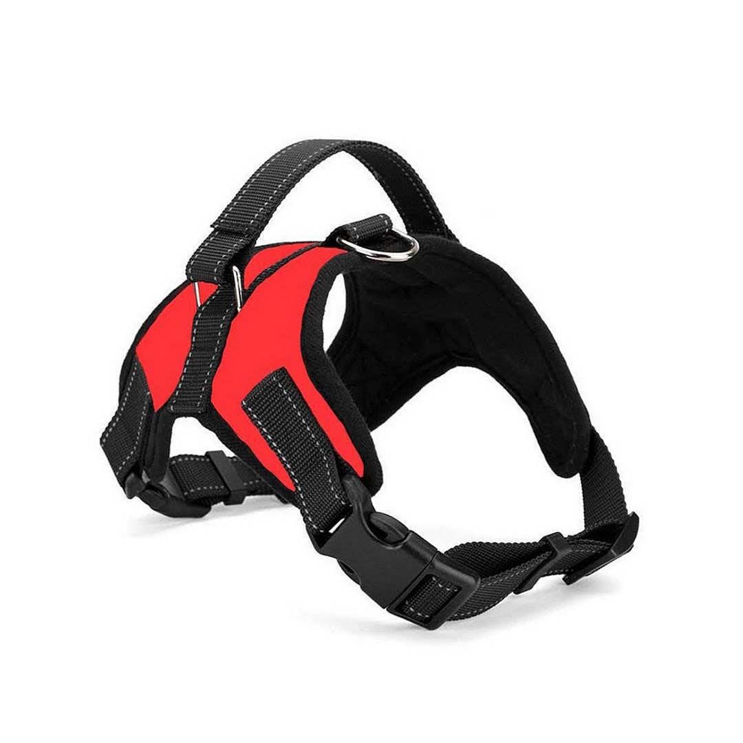 Köpek Göğüs Tasması Ratna Kırmızı