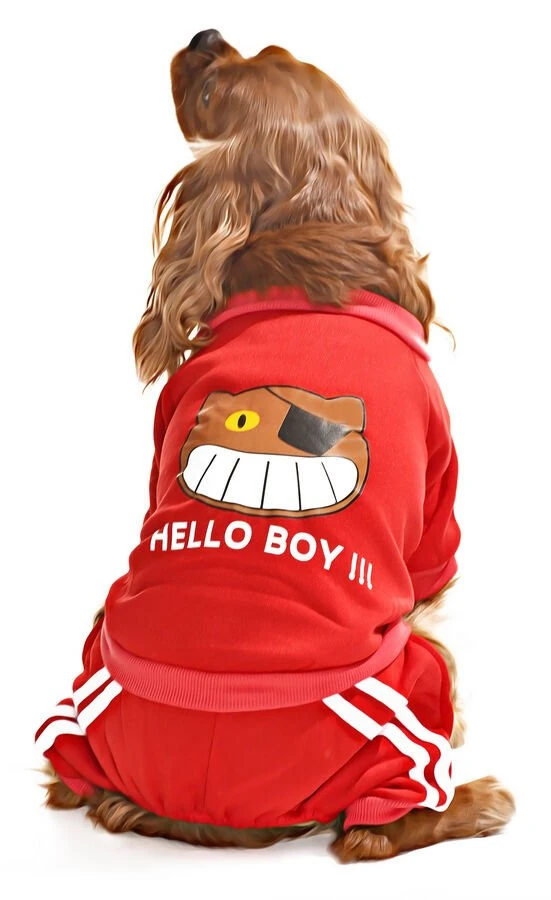 Küçük ve Orta Irk Köpek Pijama Tulum - Goba - Köpek Kıyafeti