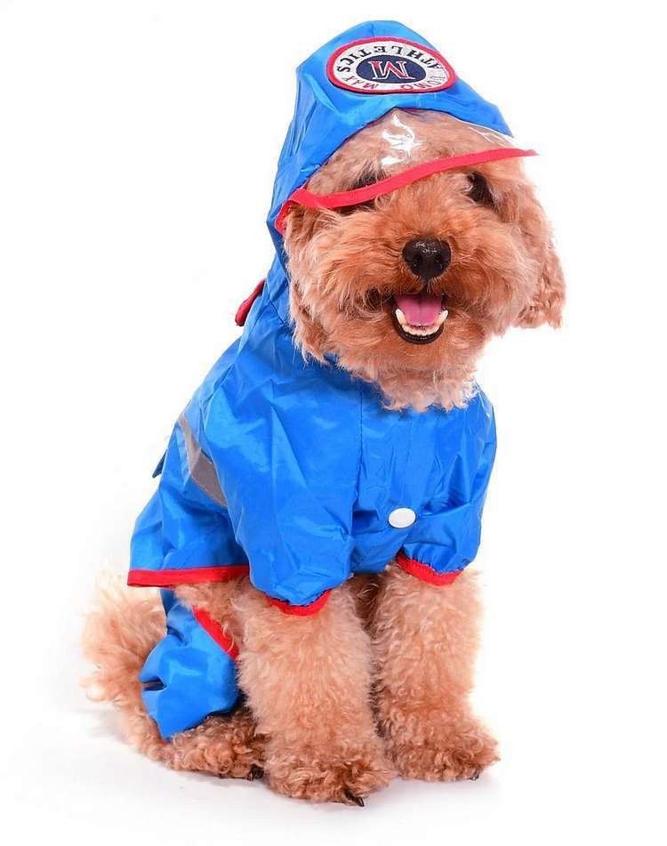 Küçük ve Orta Irk Köpek Paçalı Yağmurluk İnga Mavi