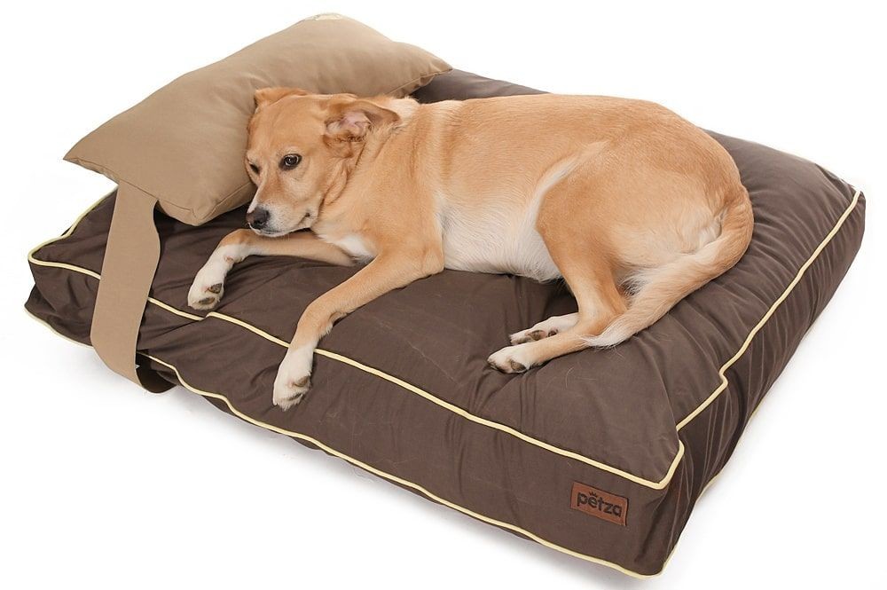 Köpek Yatağı ve Yastık Takımı - Chimera Large