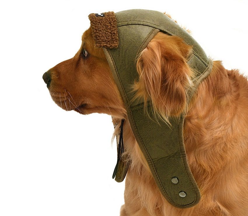 Küçük Orta ve Büyük Irk Köpek Şapka Pilot Yeşil