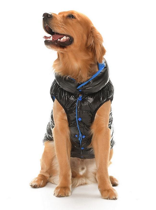 Büyük Irk Çift Taraflı Köpek Mont - Yuo Mavi & Siyah