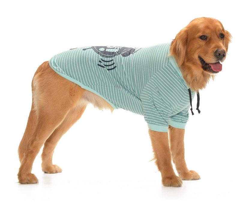 Orta ve Büyük Irk Köpek T-shirt - Wake Up Yeşil