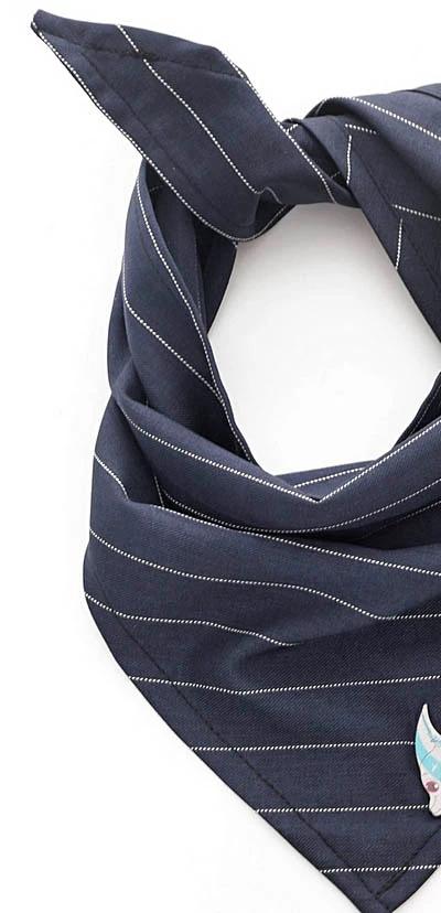 Köpek Bandana / Doxy