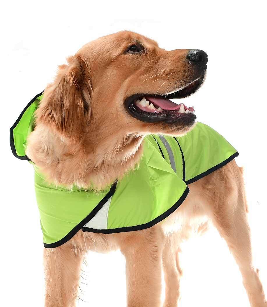 Köpek Büyük ve Orta Irk Yağmurluk Ekon Yeşil