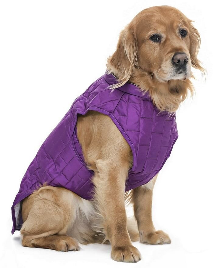 Orta ve Büyük Irk Köpek Mont - Kylo