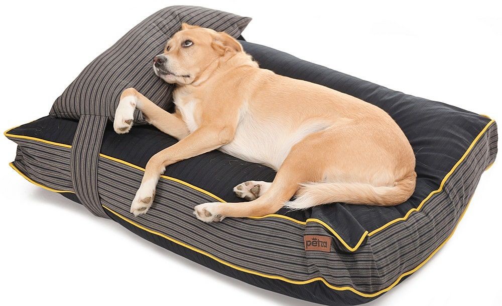 Köpek Yatağı ve Yastık Takımı - Nian Large