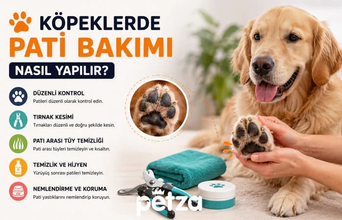 Köpeklerde Pati Bakımı Nasıl Yapılır?