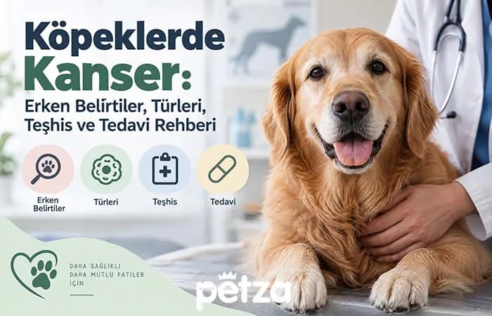 Köpeklerde Kanser