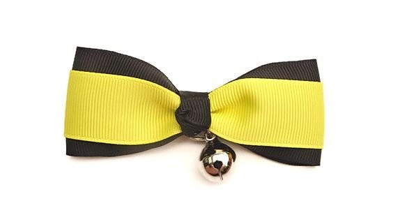 Funky Bow Tie Kedi Tasması