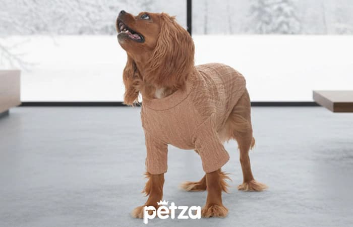 Boho Triko Köpek Hırkası-Petza