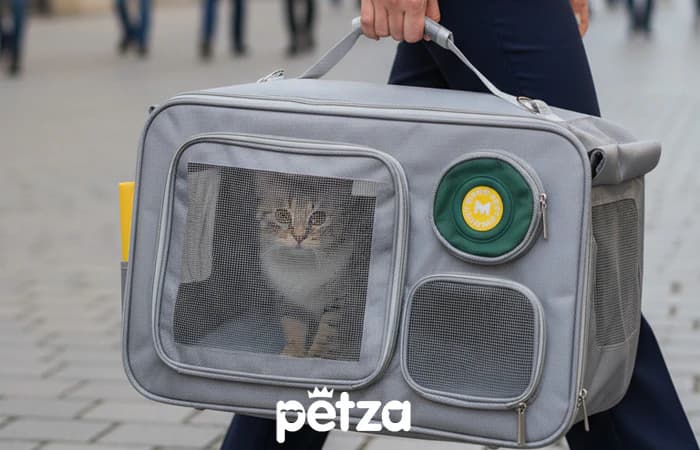 Kedi Taşıma Çantası Nyro - Petza
