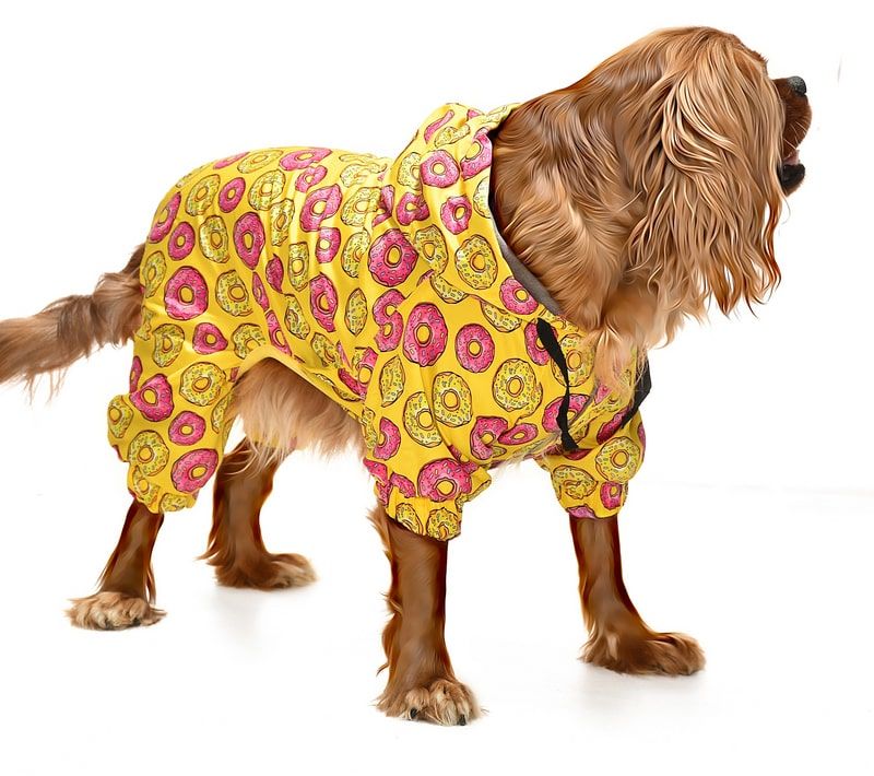 Küçük ve Orta Irk Köpek Paçalı Mont Bicorn