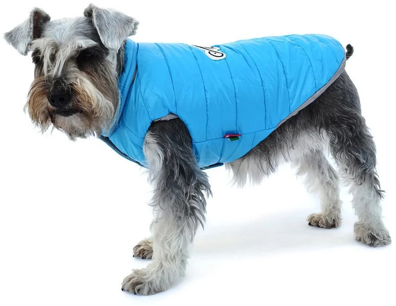 Köpek Küçük ve Orta Irk Mont Çift Taraflı Bodil Mavi Gri