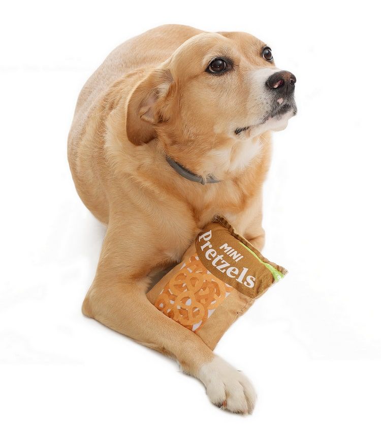 Köpek Oyuncak Pretzel