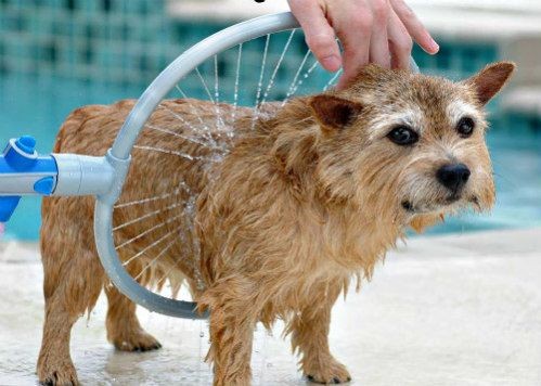 Woof Washer 360 Small