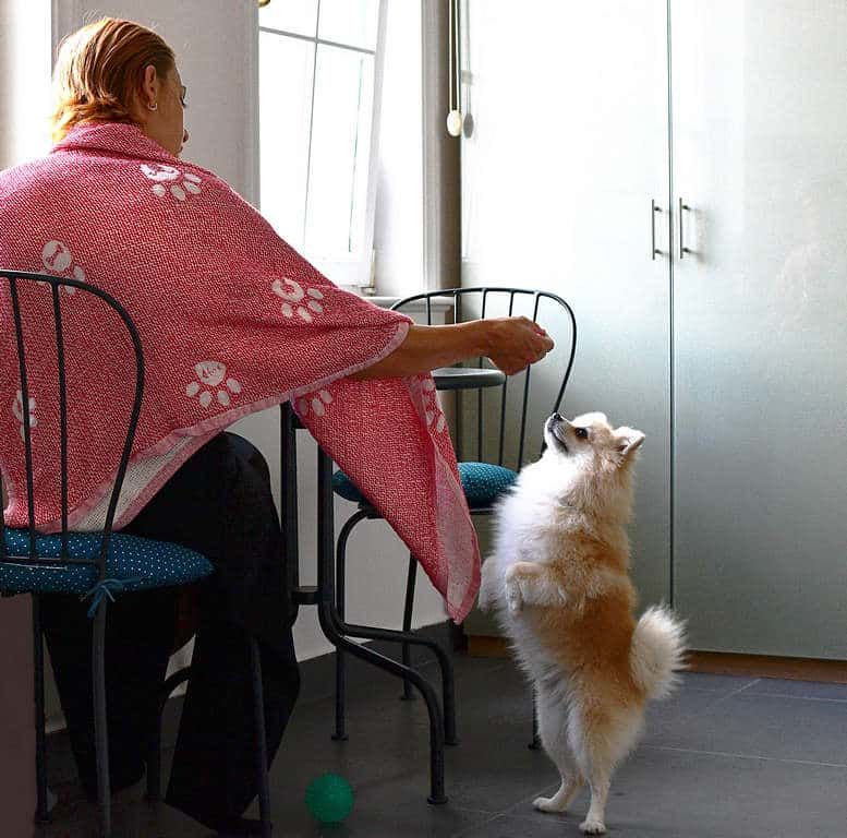 Çok Amaçlı Örtü  Borneo Kırmızı