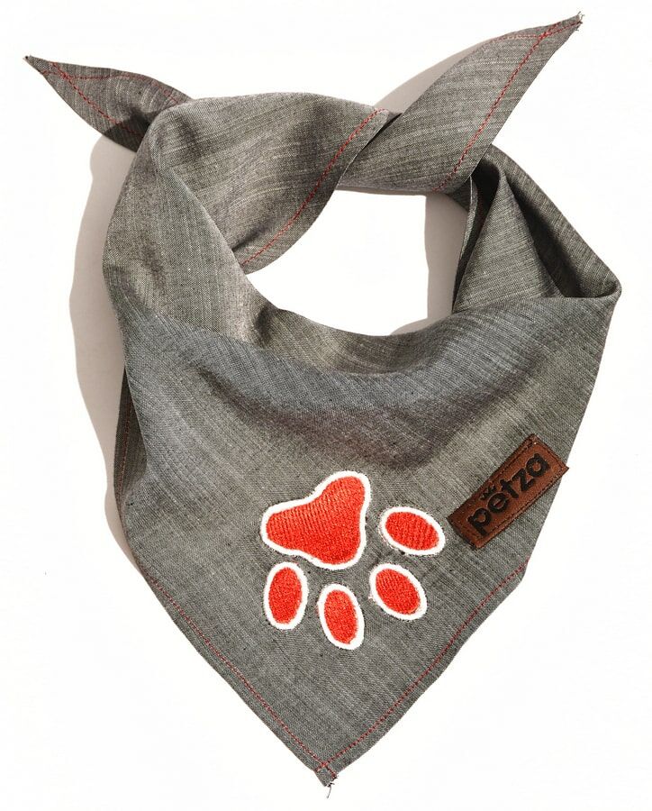 Köpek Bandana / Alke