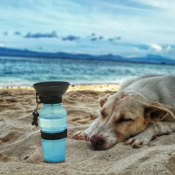 Deco Köpek Seyahat Su Şişesi-Petza