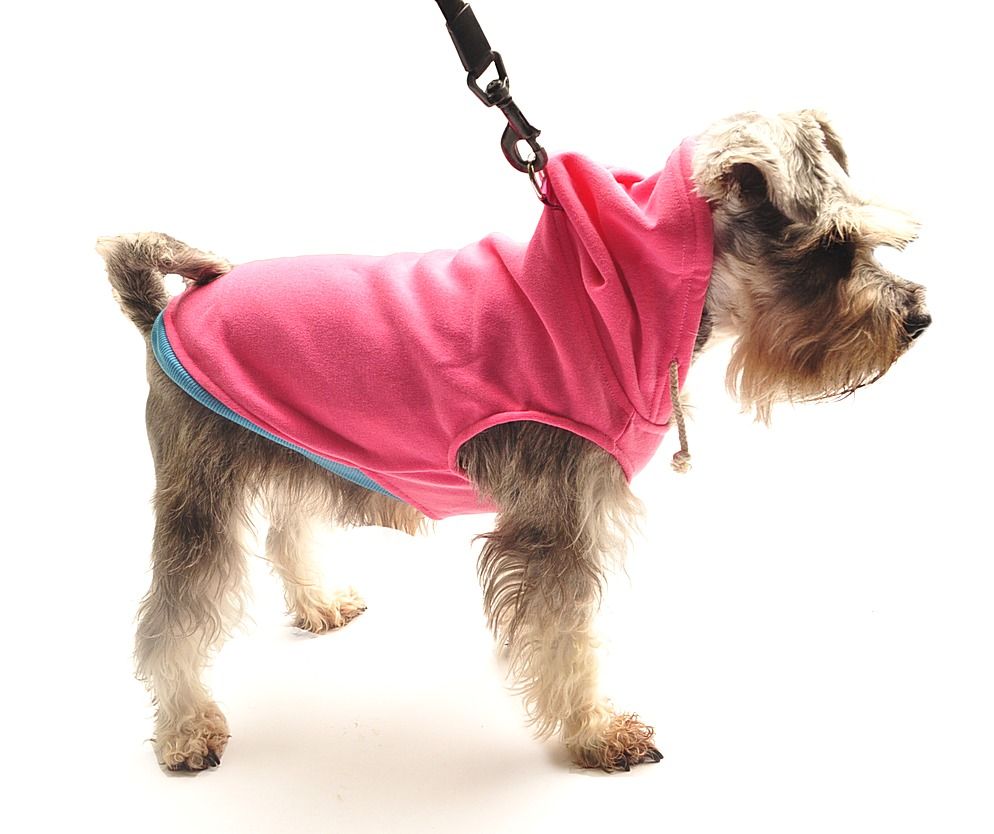 Sweatshirt Köpek Tasma - Flos