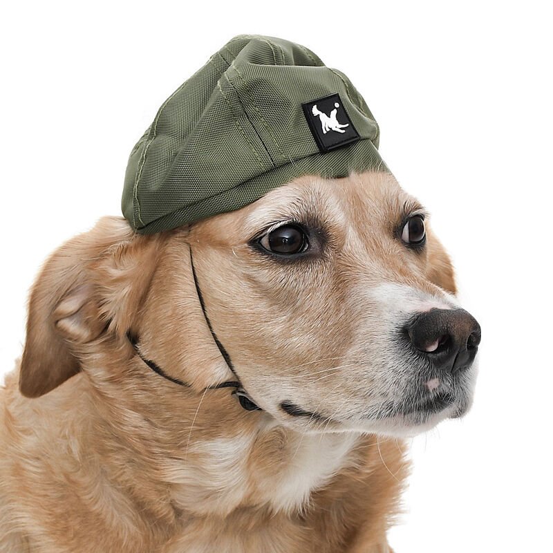 Küçük ve Orta Irk Köpekler için Şapka - CHE