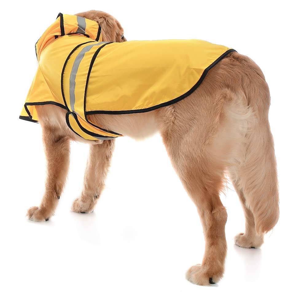 Köpek Büyük ve Orta Irk Yağmurluk Ekon Sarı