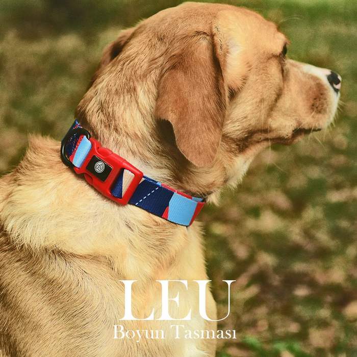 Köpek Boyun Tasması Leu