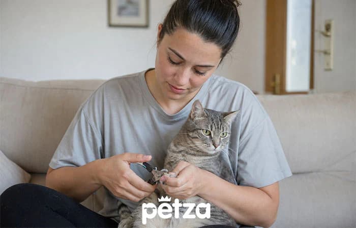 Kedi Tırnağı Nasıl Kesilir?
