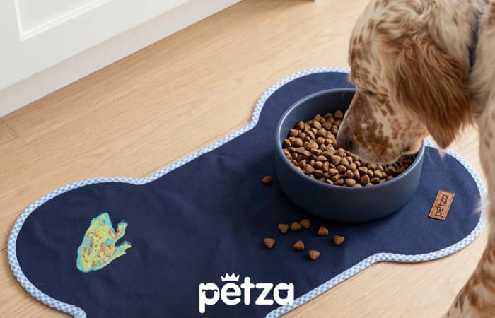 Tala Köpek Mama ve Su Kabı Servisi - Petza