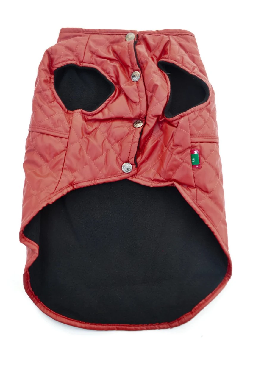 Köpek Küçük ve Orta Irk Deri Ceket Dabir