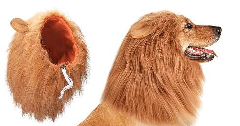 Köpek Peruk Lion