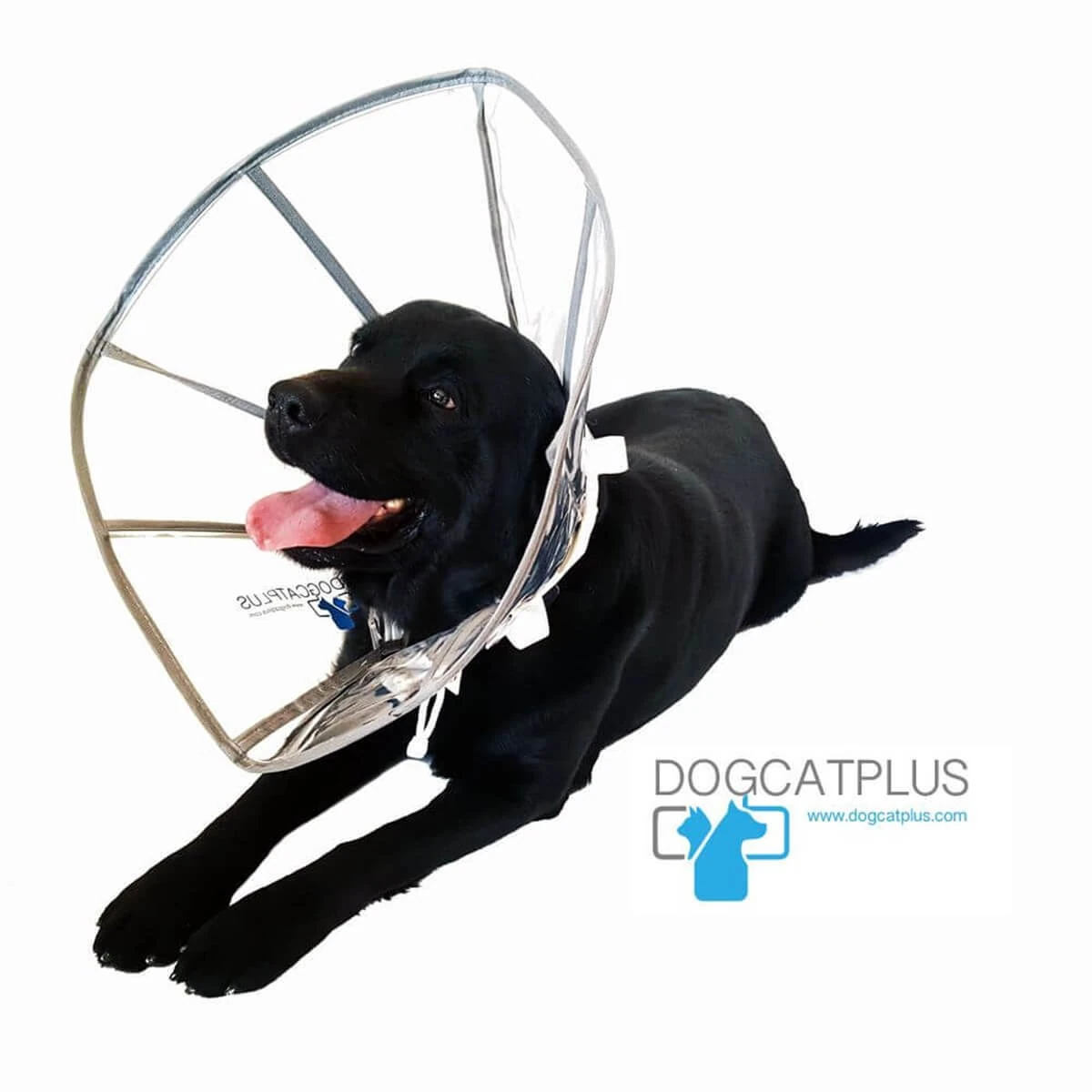 DogCatPlus Elizabeth Şeffaf Yakalık  XLARGE