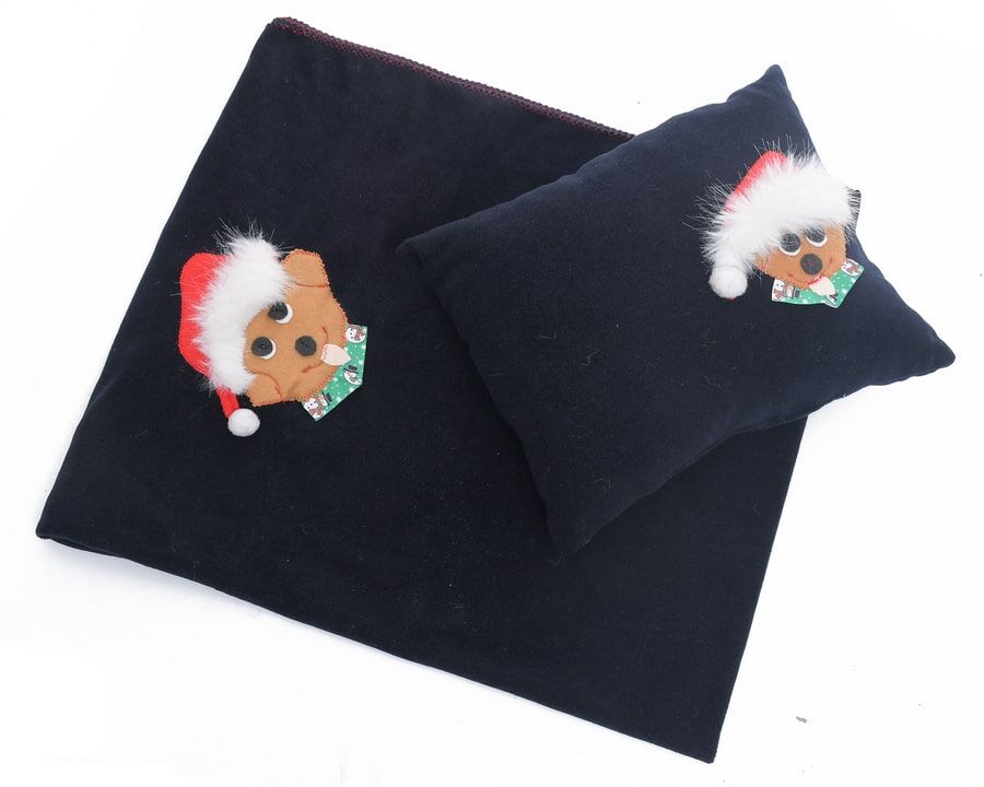 Polar Köpek Battaniyesi ve Yastık Takımı Onnad - Siyah XLarge