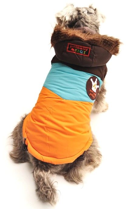 Köpek Mont Groove Turuncu - Köpek Kıyafeti