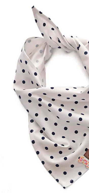 Köpek Bandana / Aragog