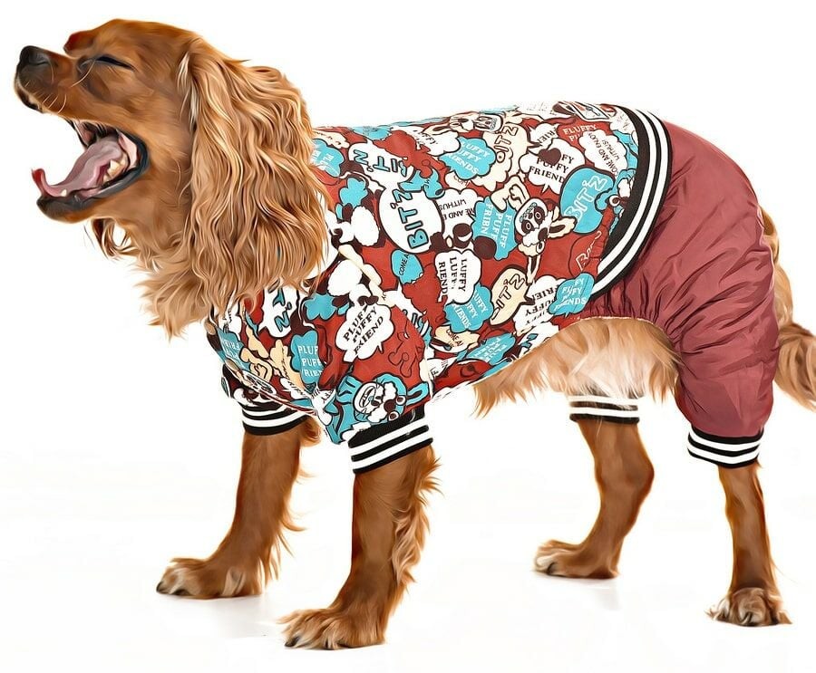 Küçük ve Orta Irk Köpek Paçalı Mont - Bado