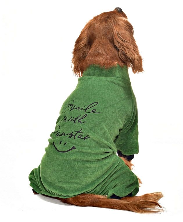 Küçük ve Orta Irk Köpek Pijama Polar Tulum - Zendaya - Köpek Kıyafeti