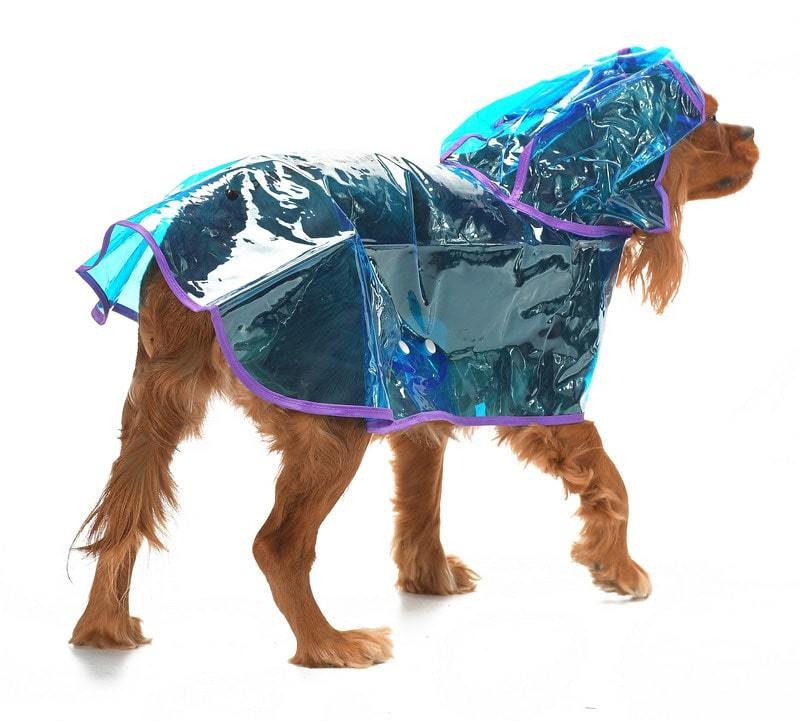 Köpek Küçük ve Orta Irk Yağmurluk Otso Şeffaf Mavi