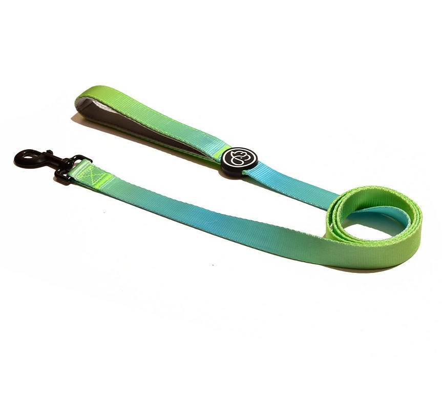 Köpek Gezdirme Tasması Inke