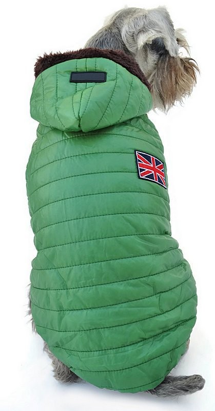 Köpek Küçük ve Orta Irk Mont Tiltu Yeşil