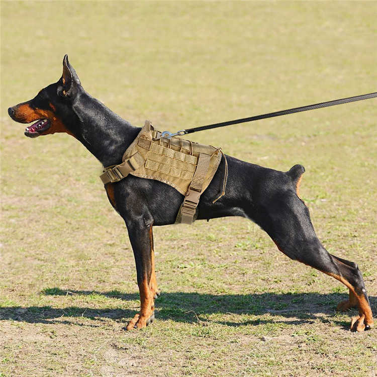 Köpek Göğüs Tasması Combat
