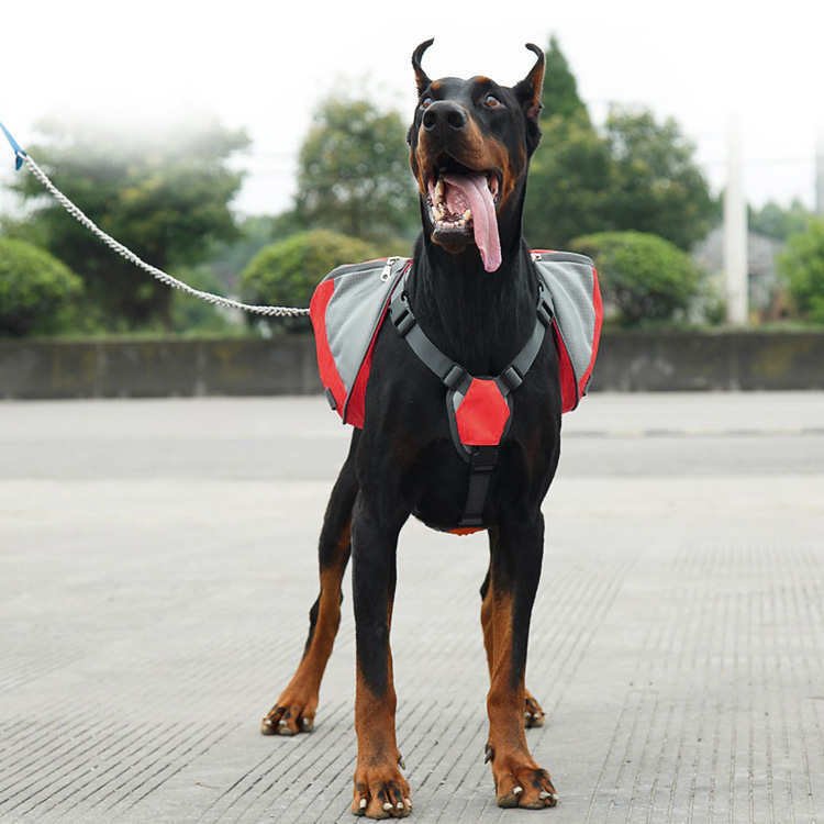 Orta ve Büyük Irk Köpekler için Sırt Çantası Norda