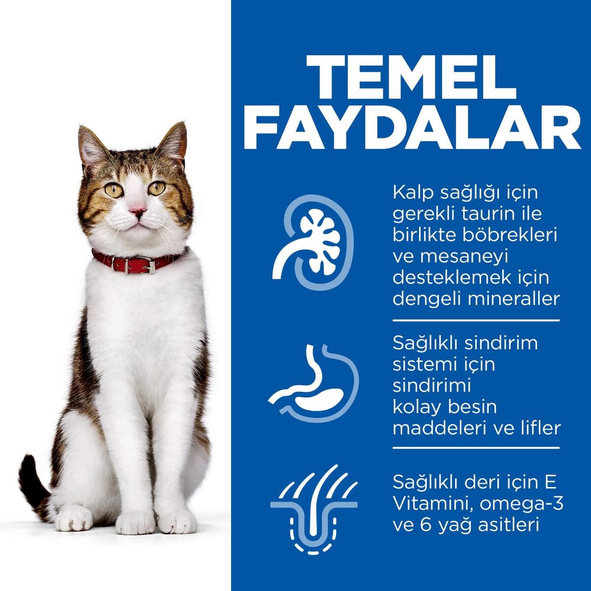 Hills Feline Mature Adult +7 Tavuklu Yaşlı Kuru Kedi Maması 1.5 Kg