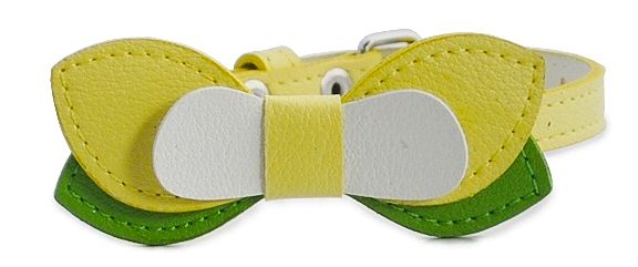 Köpek Boyun Tasması Sarı  Puppy Angel
