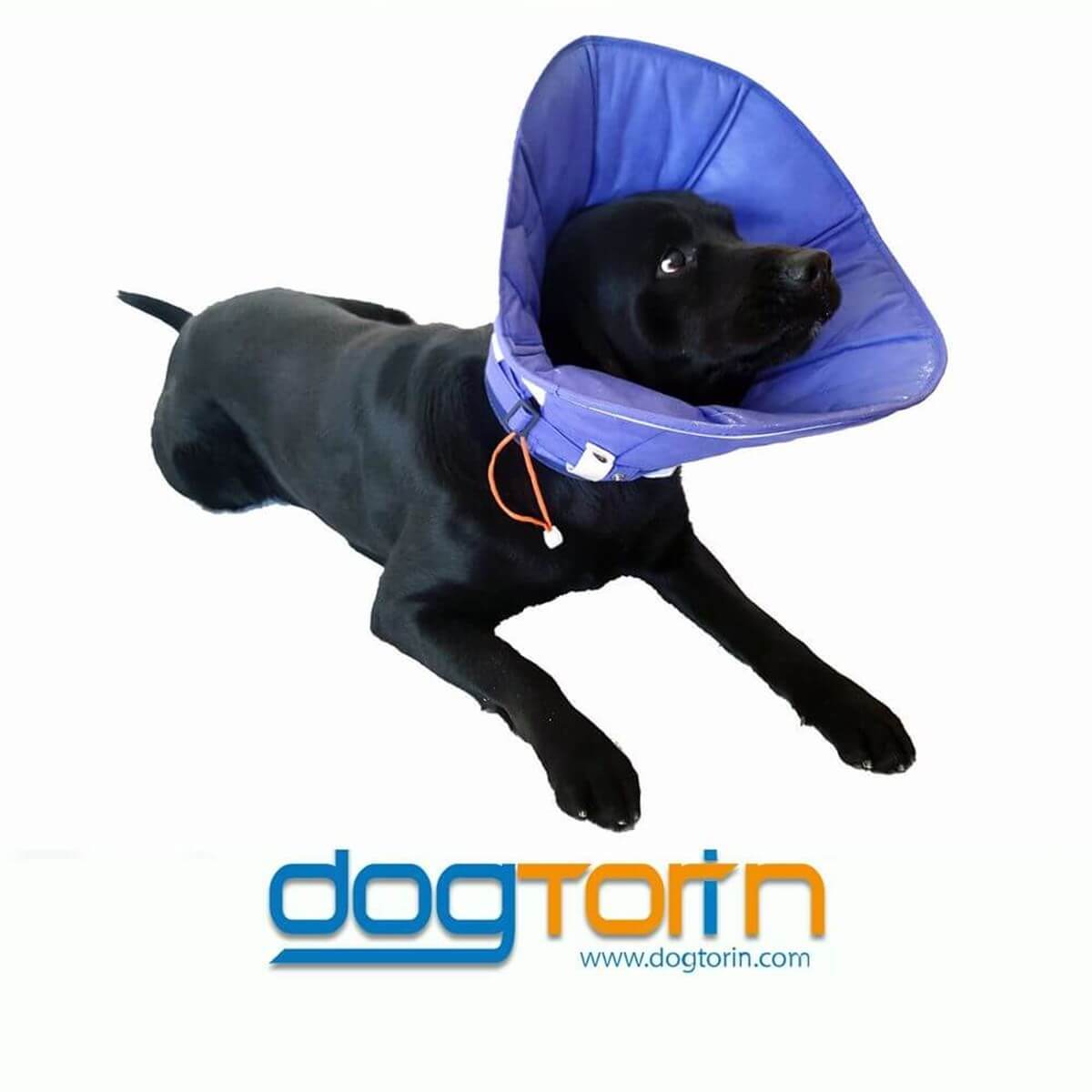 DogCatPlus Elizabeth Kumaş Yakalık  XLARGE