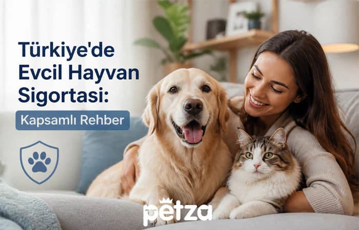 Türkiye'de Evcil Hayvan Sigortası