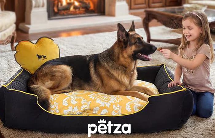Etka Büyük Irk Köpek Yatağı - Petza
