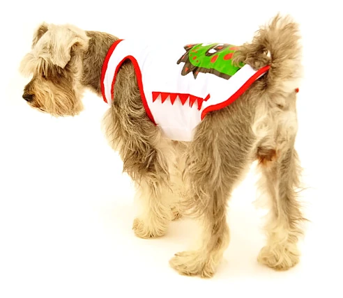 Köpek T-shirt - Nelli - Köpek Kıyafeti