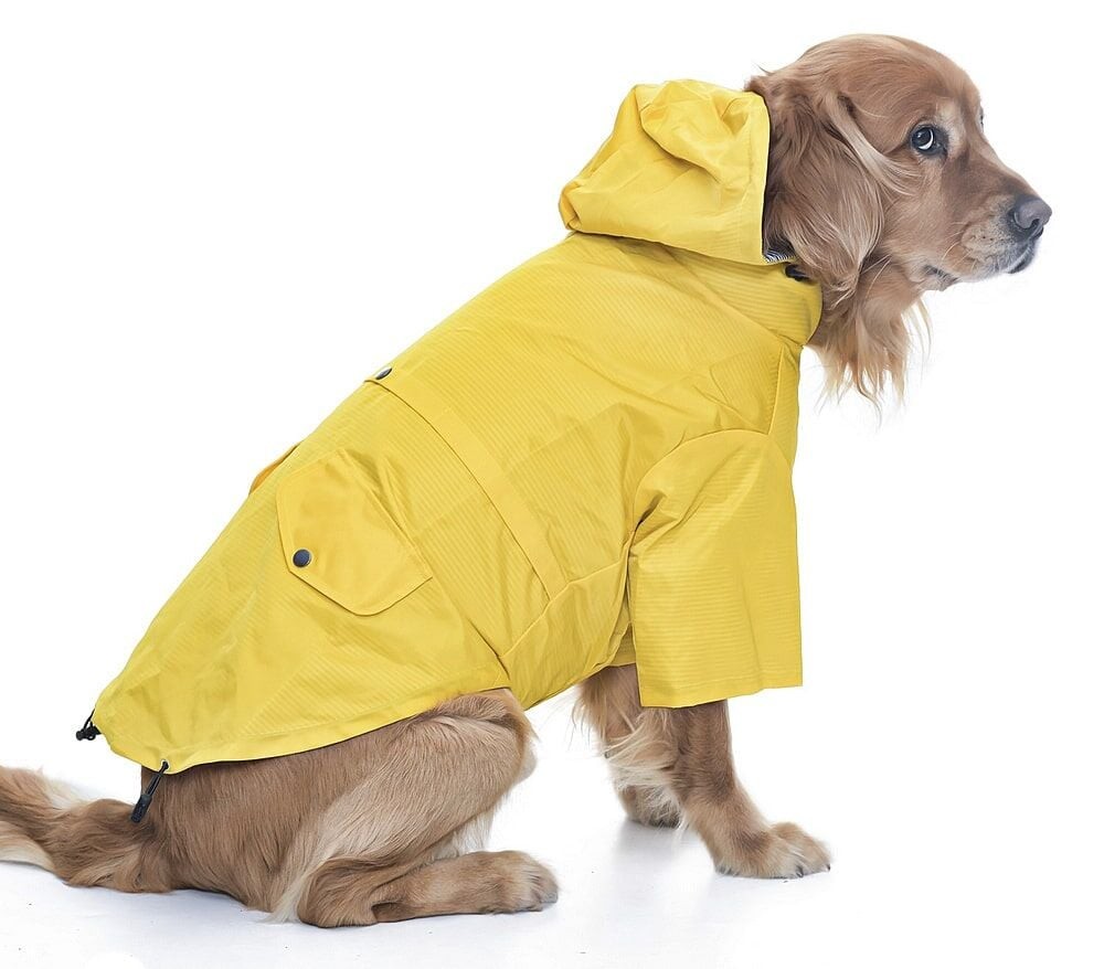 Orta ve Büyük Irk Köpek Yağmurluk - Sakha